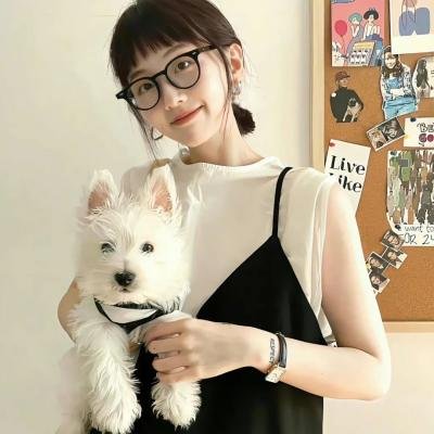 历史的总和