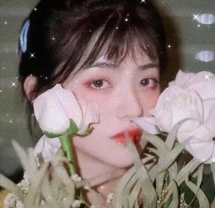 古柯碱教母